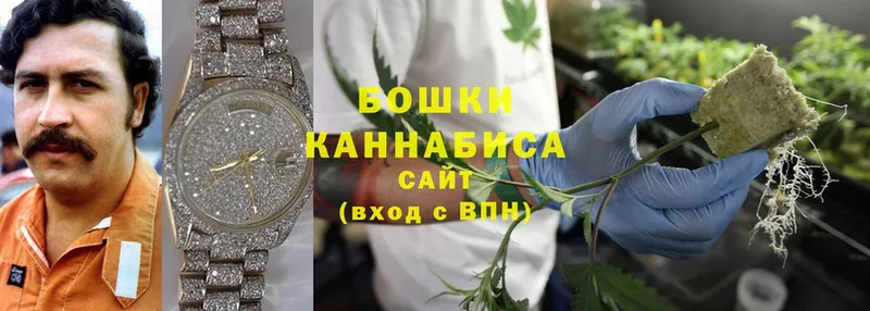 где можно купить   Ветлуга  МАРИХУАНА OG Kush 